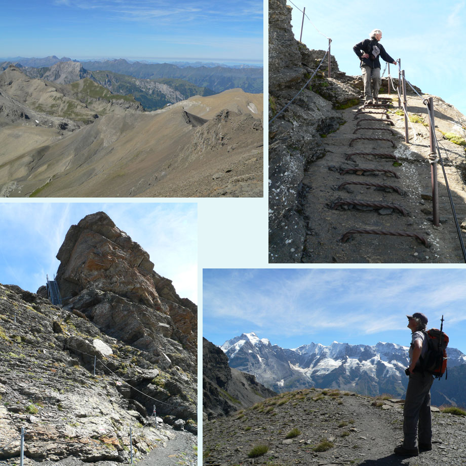 op weg naar de Rote Herd