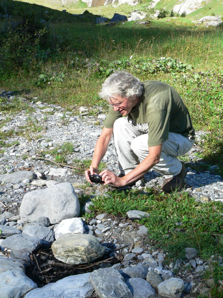 wat een mooi plantje