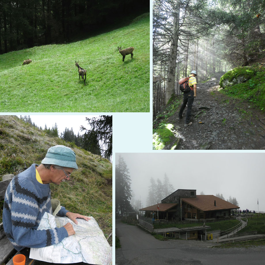 drie gemzen!, zonneharp, waar gaan we naartoe, Winteregg