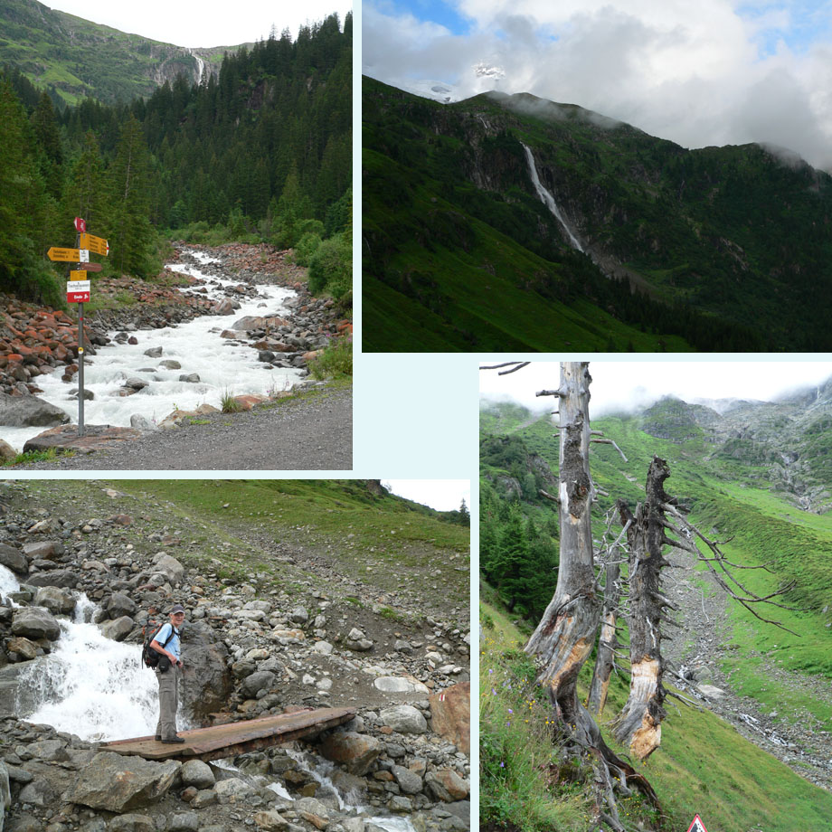 bij Trachsellauenen; Schmadribach; oversteek; ook dood hout kan mooi zijn