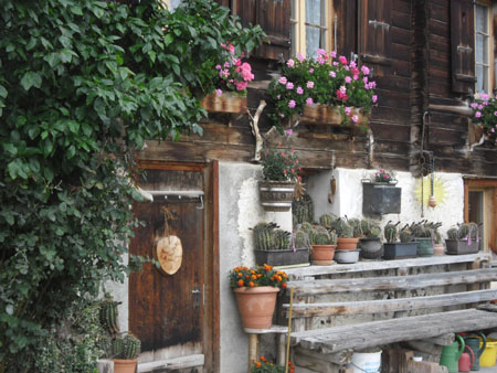 alternatieve Zwitserse tuin