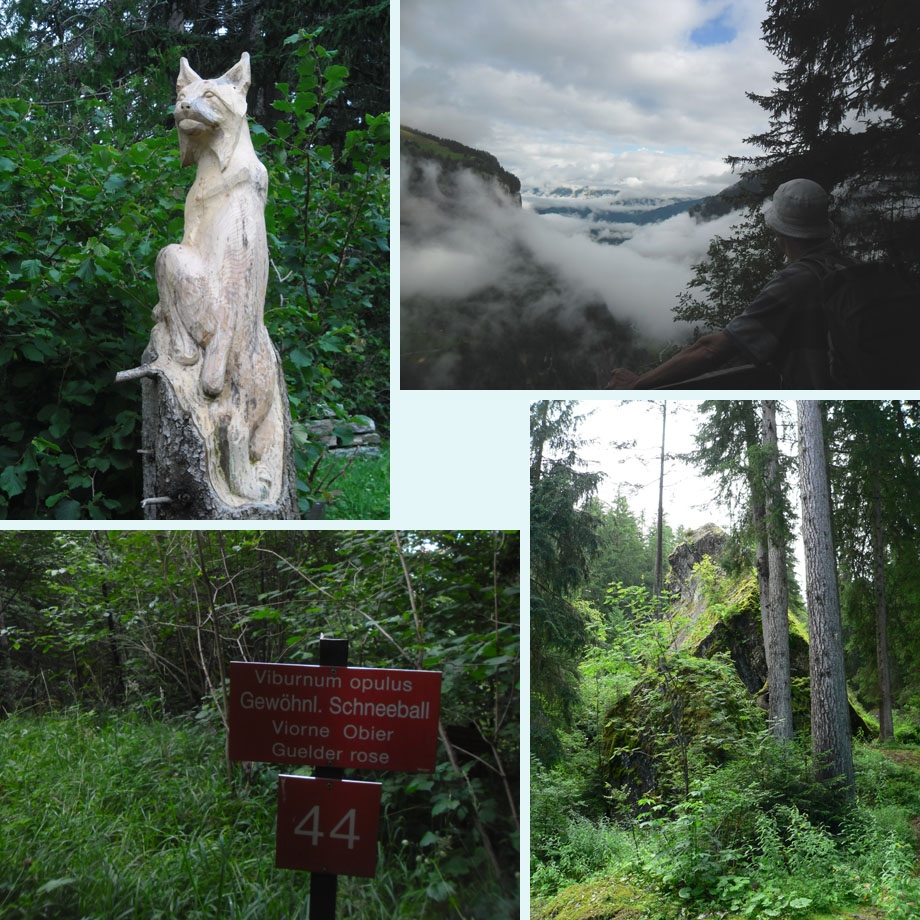 mooi houtsnijwerk; ook dit jaar geen uitzicht; waar is die Sneeuwbal?; Chilchstein