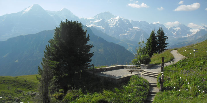 alpentuin op de Schynige Platte