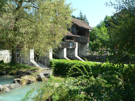 allemaal voor vissen