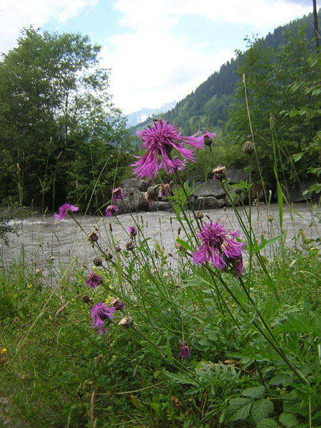 langs de Iffigenbach