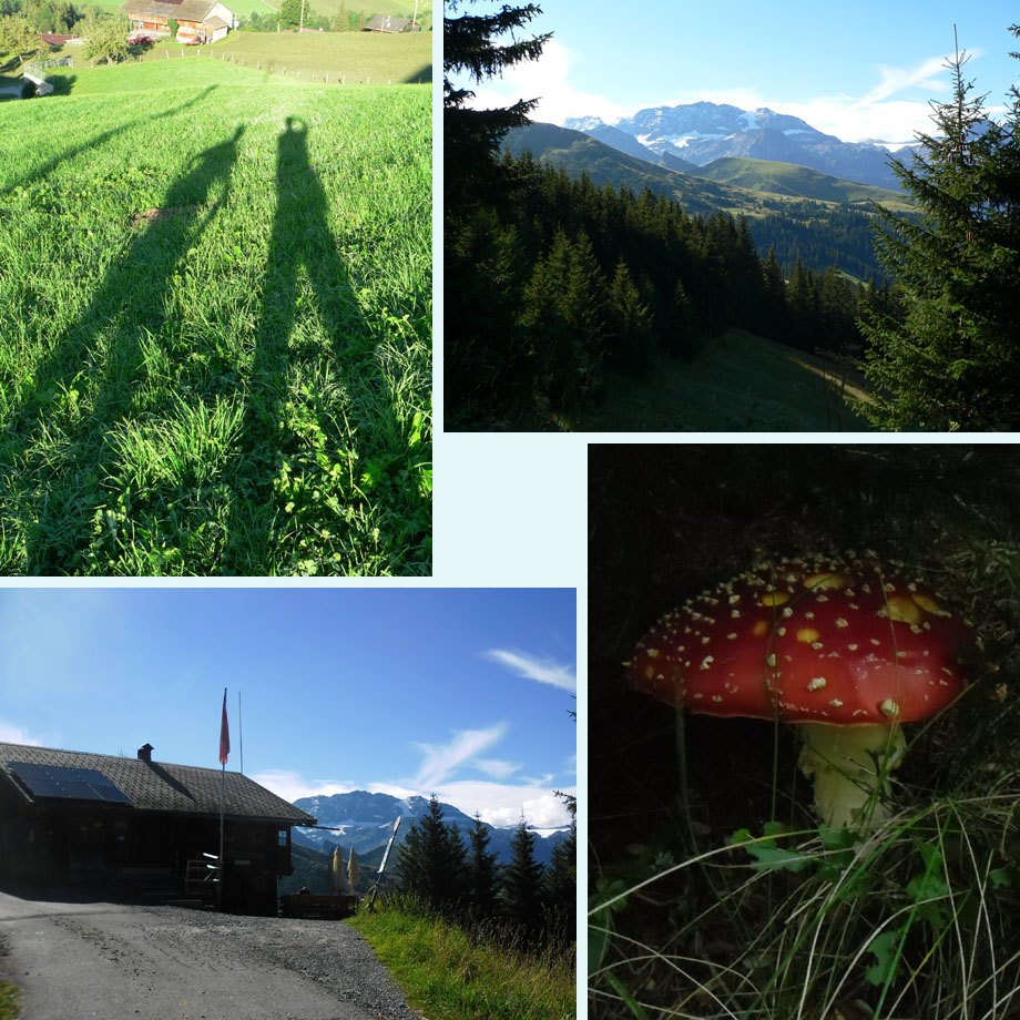 we gaan op pad, uitzicht, Laubbargli, er zijn al vliegenzwammen