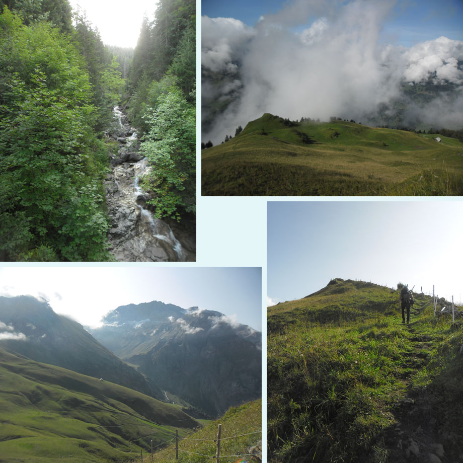 Sumpfbach, op weg naar Metschstand