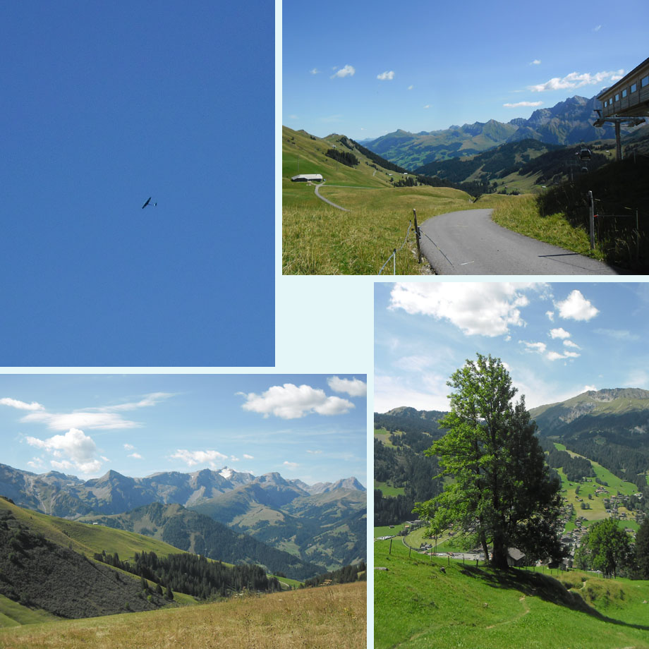 zweven, uitzichten vanaf de Hahnenmoos, fraaie berg-es