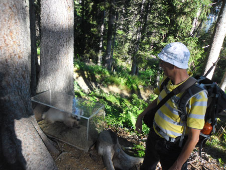 het lijkt wel een albino-das