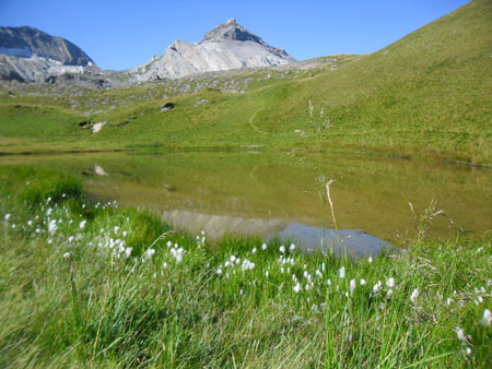 meertje bij de Fluhsee