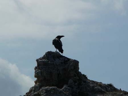 king of the mountain