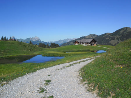 Reulisenpass