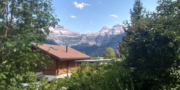 uitzicht op ons terras