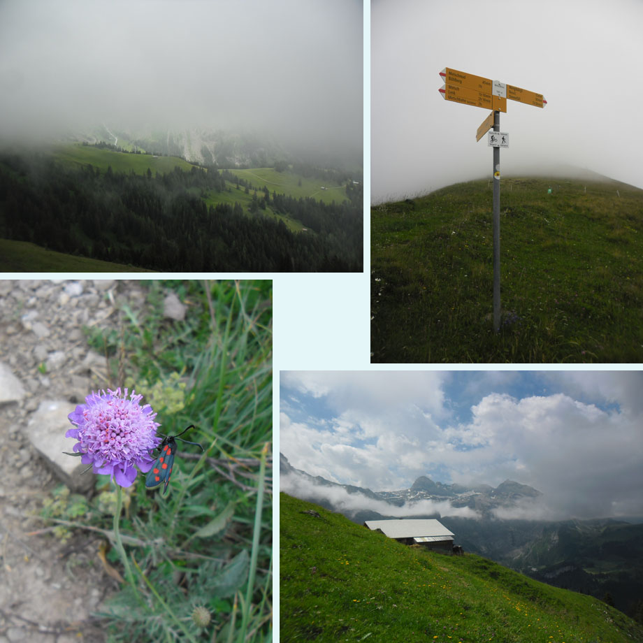 weinig uitzicht, bij de Metschhorn, St. Jansvlinder, af en toe wat zon