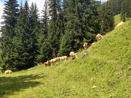 hier wordt hard gewerkt