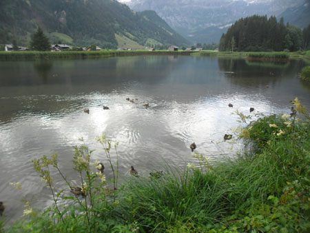 Lenkersee