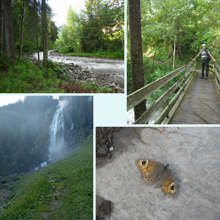 op weg naar de Iffigenfall, foto nr 100, rotsvlinder