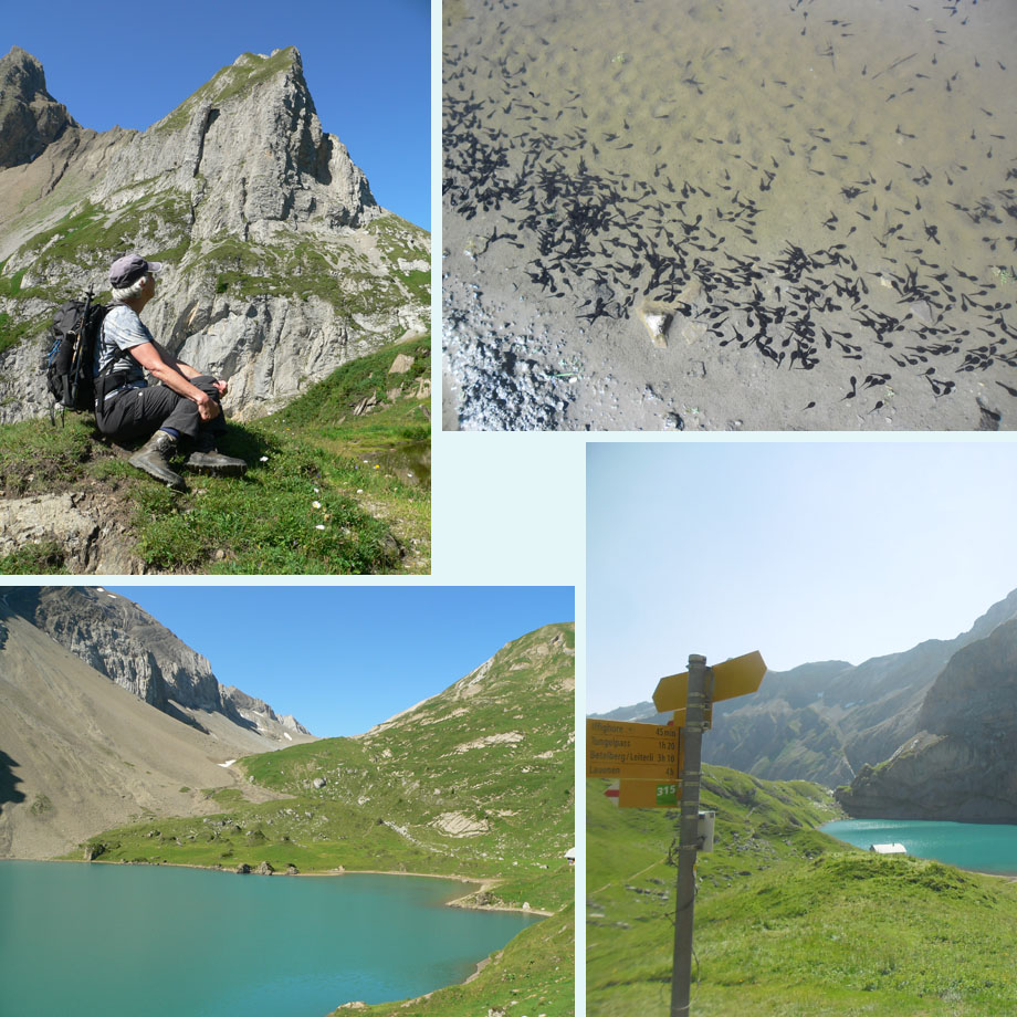 even pauze, veel kikkervisjes, Iffigsee