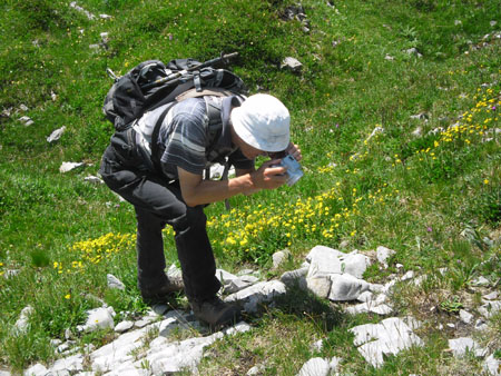 alles voor de edelweiss