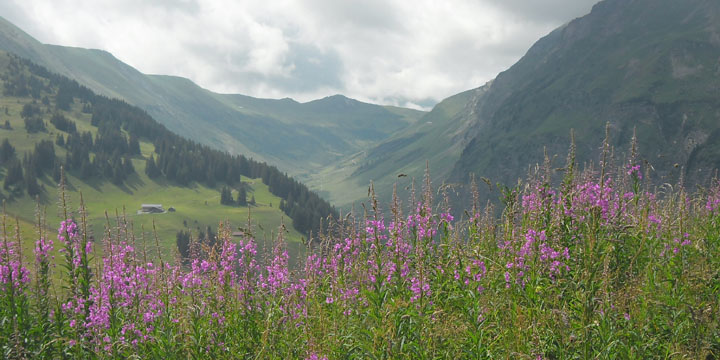 niet ver van de Reulisenpass