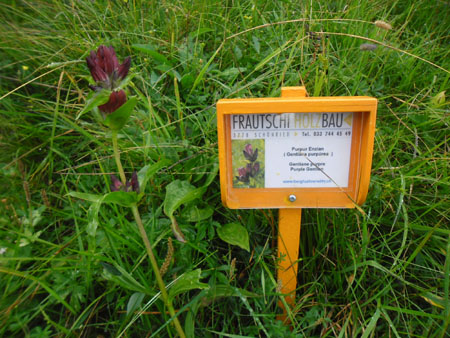 volop bloemenbordjes