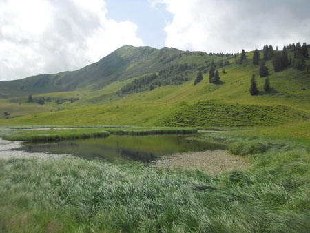 bijna bij de Reulisenpass