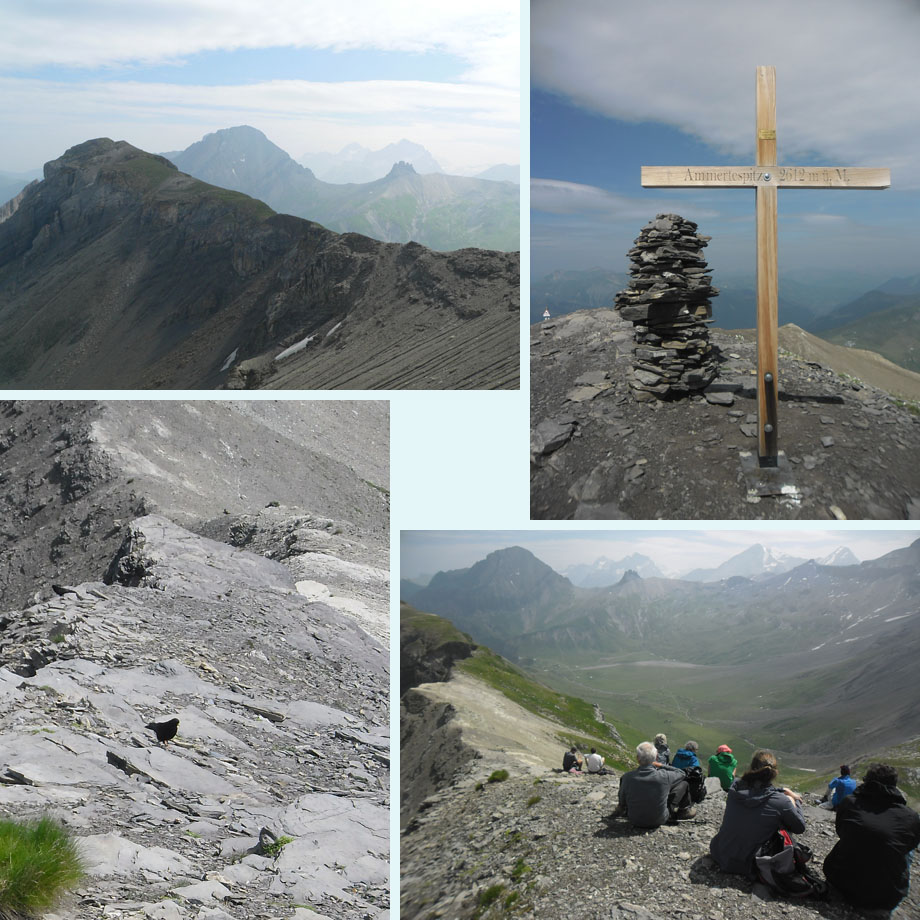 uitzicht, topkruis, alpenkauw, het is druk