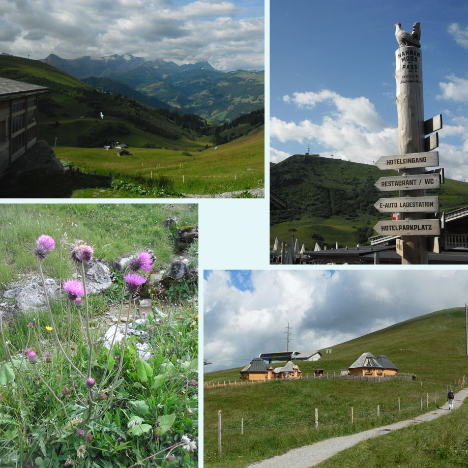 nog meer zweefvliegers, Hahnenmoospass, bergdistels, glamping