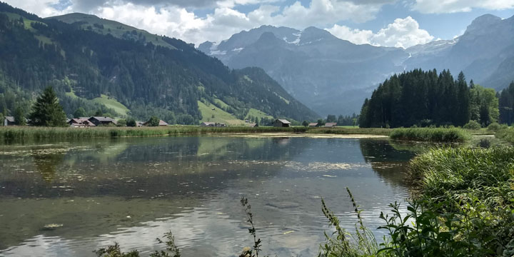 afkoelen bij de Lenkersee