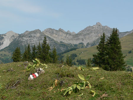 wat een geweldig uitzicht