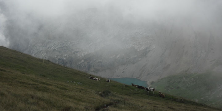 de Iffigsee is er wel