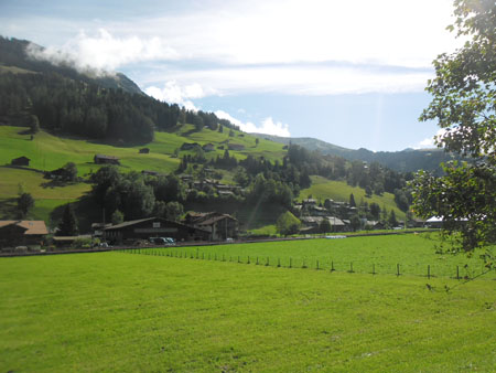 nog maar eens het Simmental