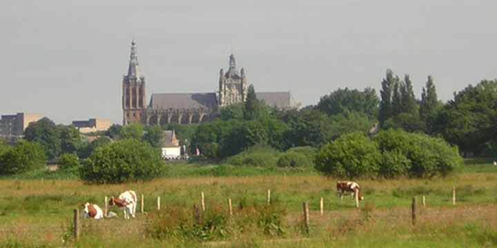 de skyline van Den Bosch
