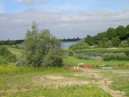 uitzicht op het Bossche Broek