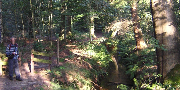 sfeervolle plek op landgoed De Baest