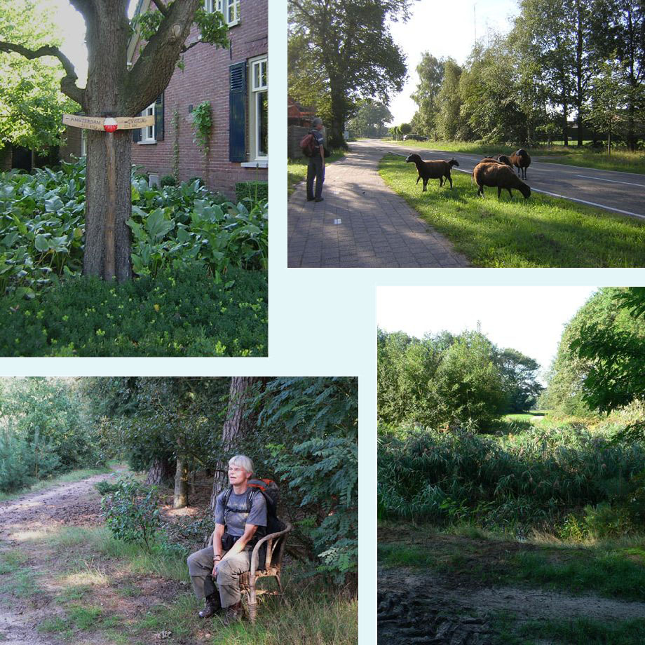 nog een klein stukje naar Vise, verdwaalde schapen, rust aan de Kleine Beerze