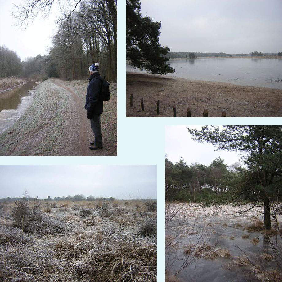 langs de Beerze, op de Landschotse Heide