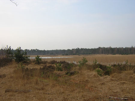 uitzicht over de Groote Heide