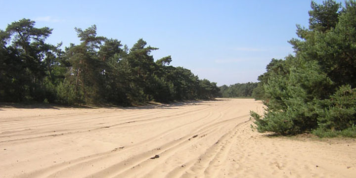 de grote militaire zandbak