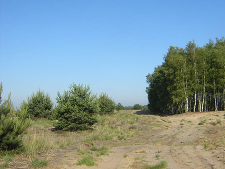 nog veel meer zand ...