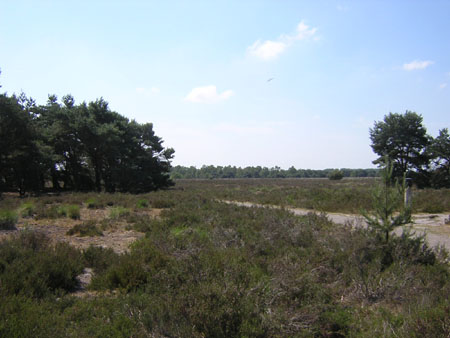 met hier en daar wat hei