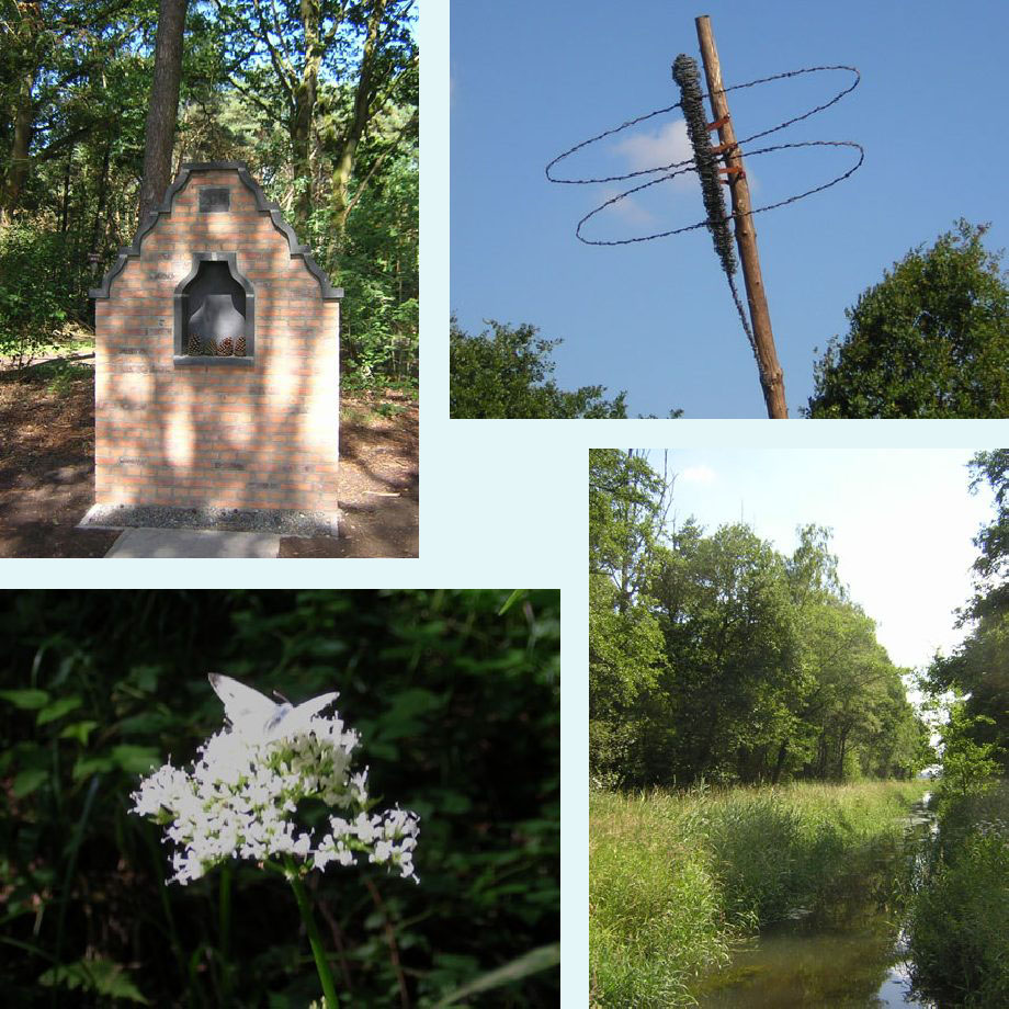 nog onbewoonde kapel, kunstwerk van prikkeldraad, witje op valeriaan, Wijffelterbroek