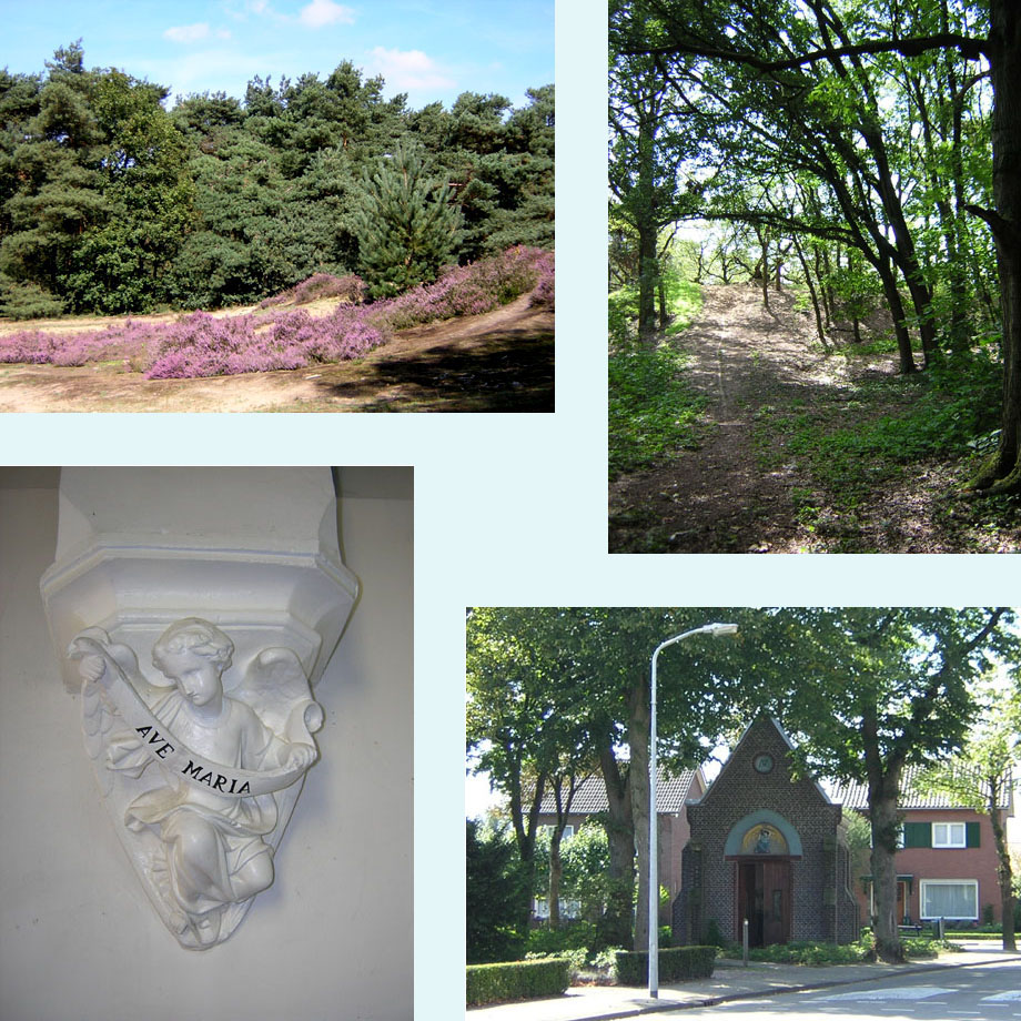 bloeiende heide, Tungeler Wal, Mariakapel in Tungelroy