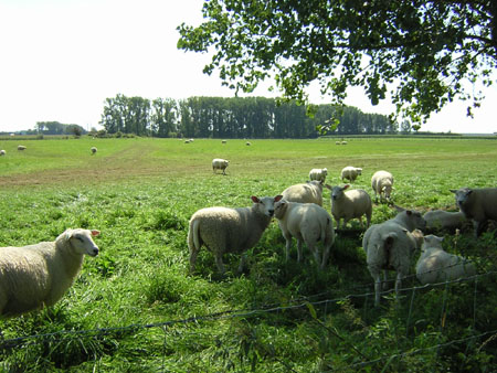 pfff, wat is het heet!