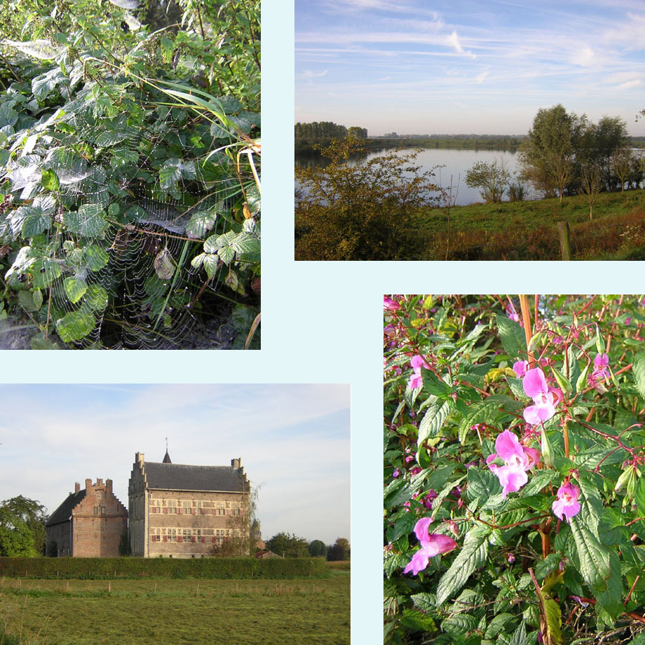 het is herfst, Schravenweerd, kasteel Hasselholt, springbalsemien