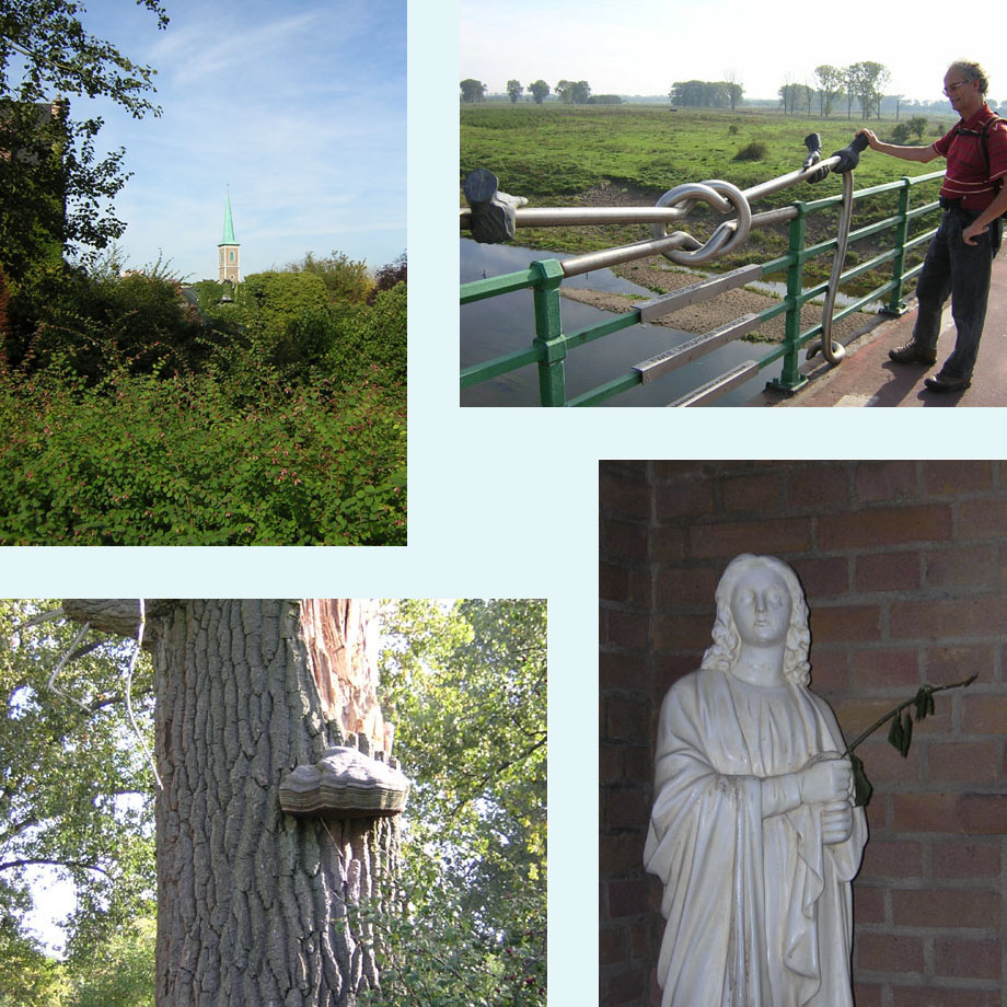 Maaseik in de verte, vriendschapsbrug, mooie tonderzwam, beetje verlept