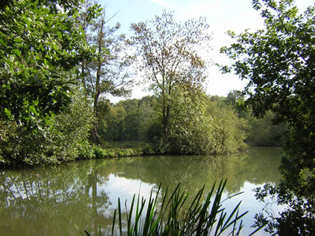 volop water in de Doort