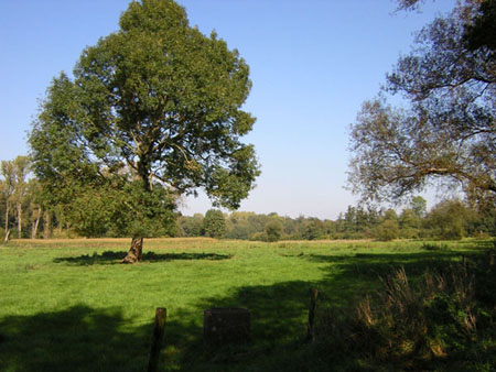 stilte bij Isenbruch