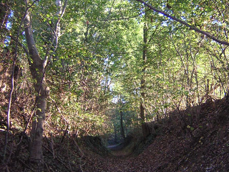 holle paden in het Geleenbeekdal