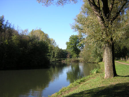 volop water in de Schwienswei